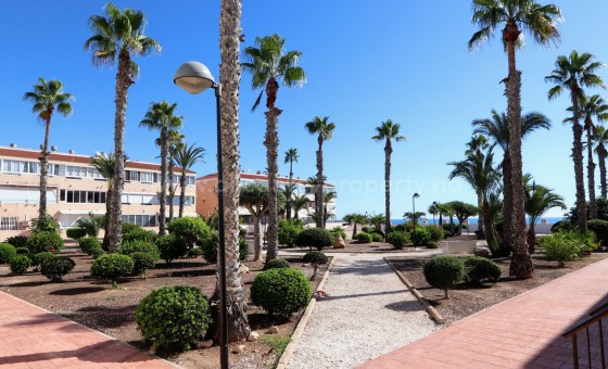 Apartamento / piso - Reventa - Orihuela - Mil Palmeras