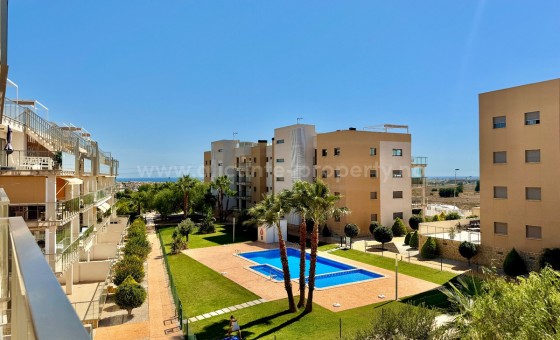 Apartamento / piso - Reventa - Orihuela - Orihuela Centro