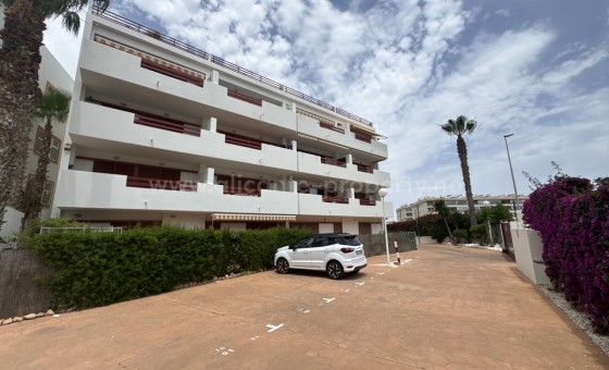 Apartamento / piso - Reventa - Playa Flamenca - Playa Flamenca