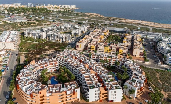Apartamento / piso - Reventa - Playa Flamenca - Playa Flamenca