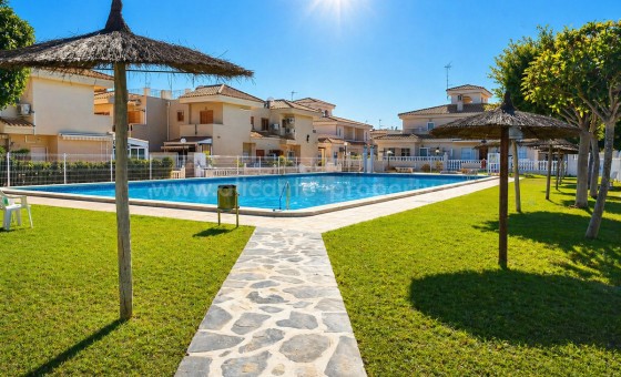 Apartamento / piso - Reventa - Playa Flamenca - Playa Flamenca