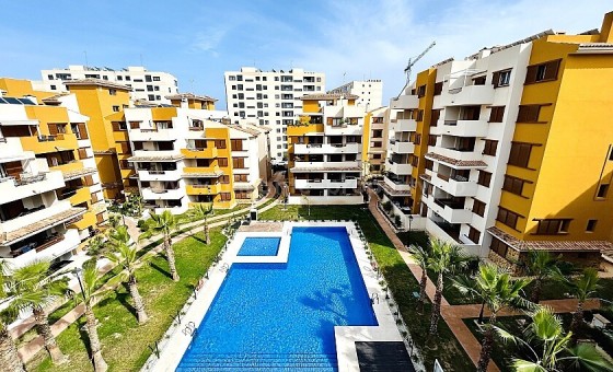 Apartamento / piso - Reventa - Punta Prima - Punta Prima
