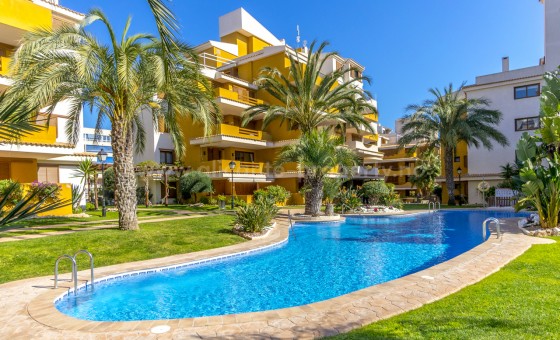 Apartamento / piso - Reventa - Punta Prima - Punta Prima