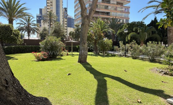 Apartamento / piso - Reventa - San Juan de Alicante - Playa de San Juan