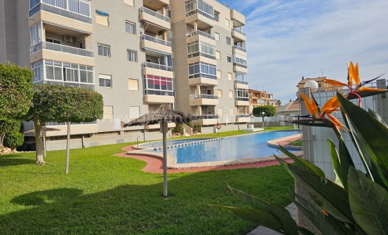 Apartamento / piso - Reventa - Torrevieja - Torrevieja Centro