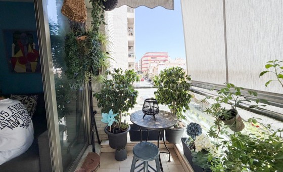 Apartamento / piso - Reventa - Torrevieja - Torrevieja Centro