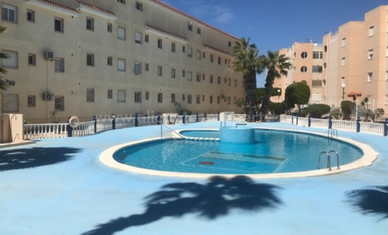 Apartamento / piso - Reventa - Torrevieja -
                Torrevieja