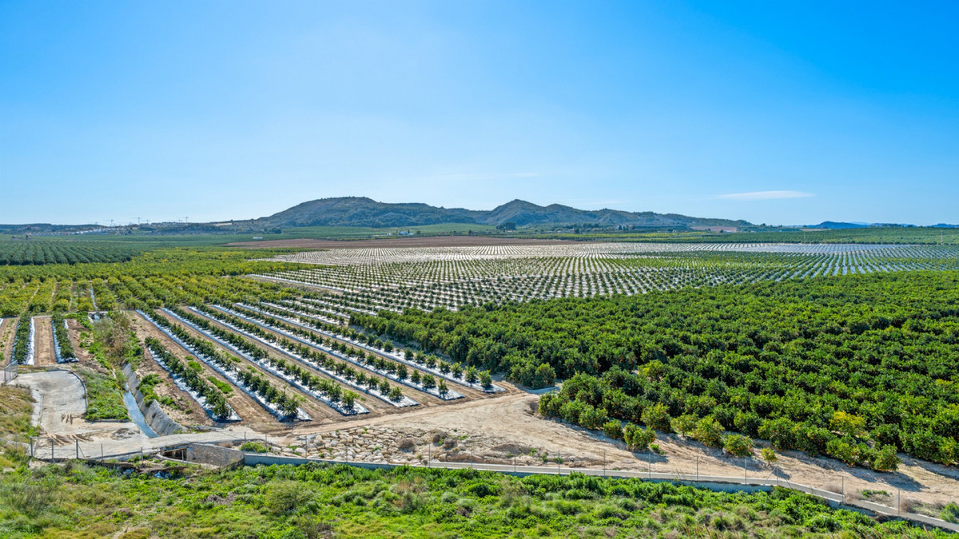 Apartment / flat in Algorfa Centro