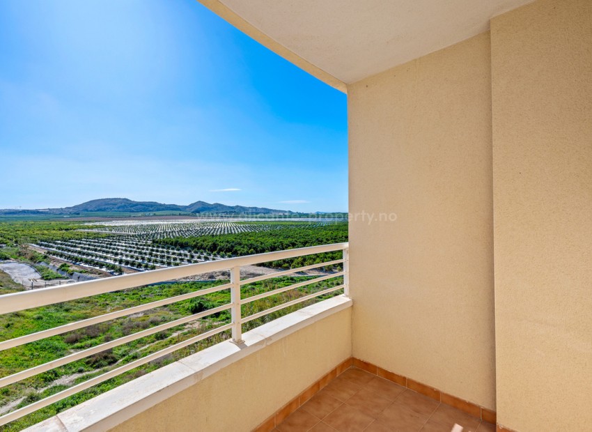 Apartment / flat in Algorfa Centro