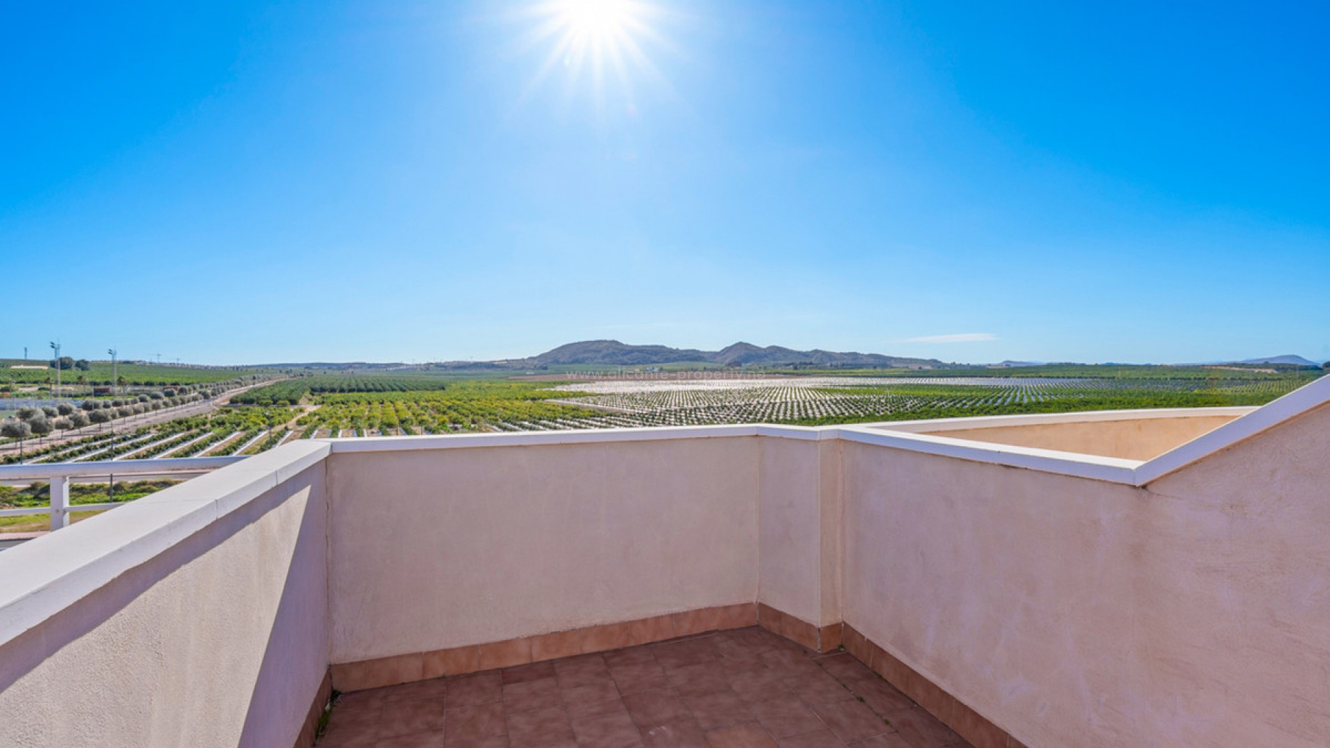 Apartment / flat in Algorfa Centro