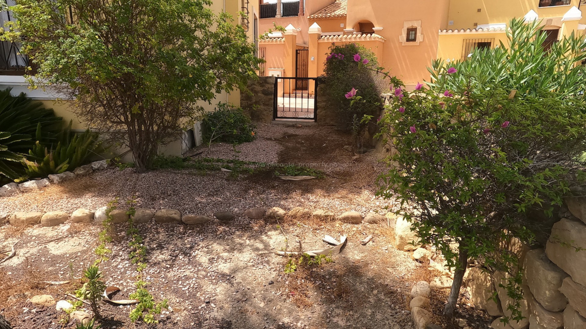 Apartment / flat in Algorfa Centro
