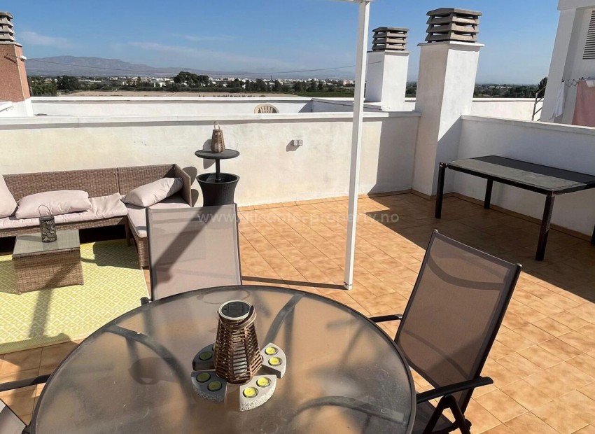 Apartment / flat in Algorfa