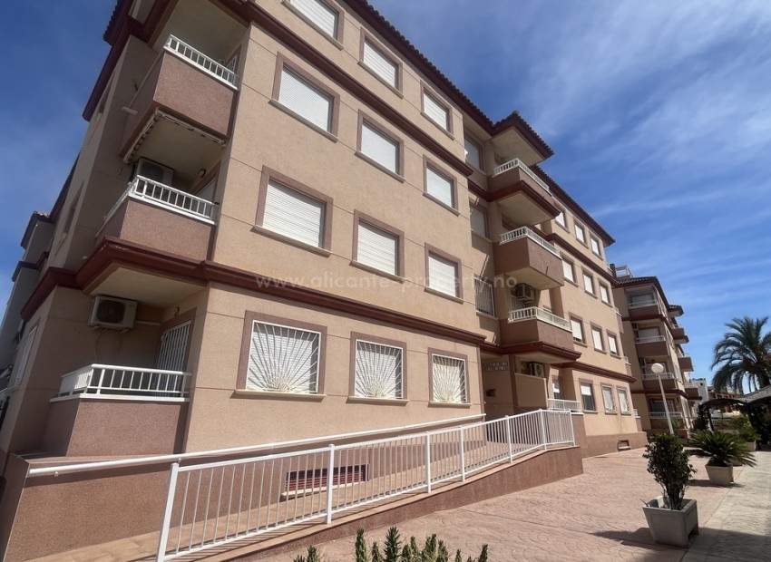 Apartment / flat in Algorfa