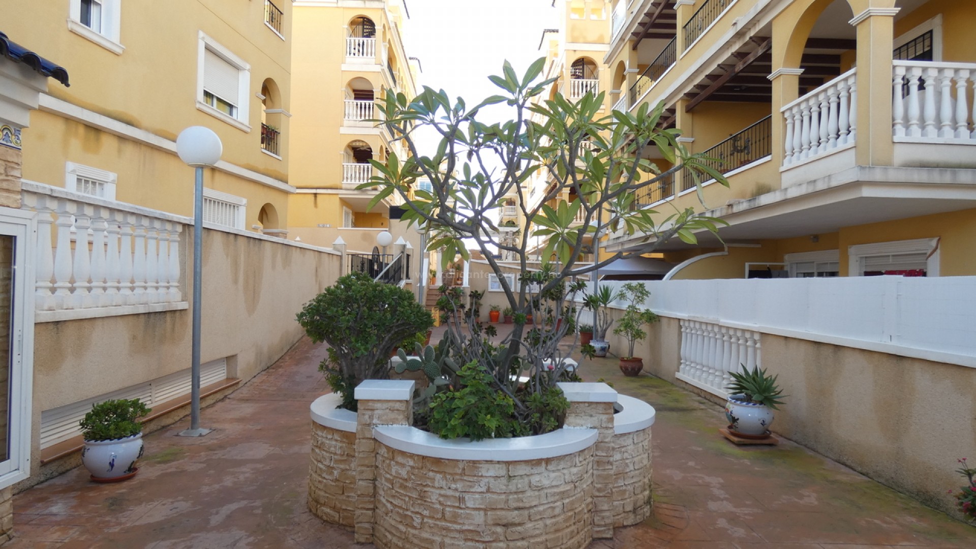 Apartment / flat in Algorfa