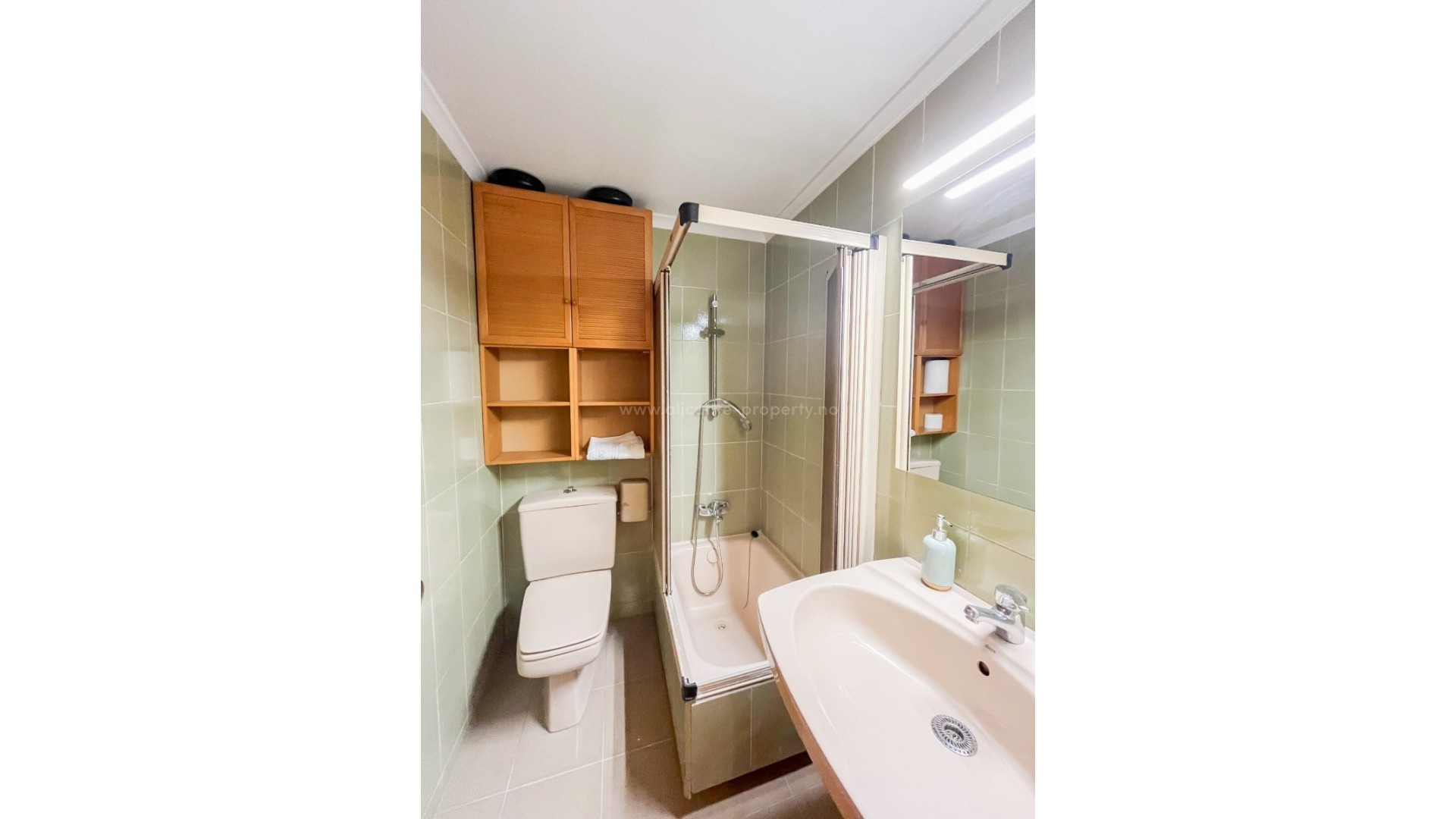 Apartment / flat in Alicante Centro