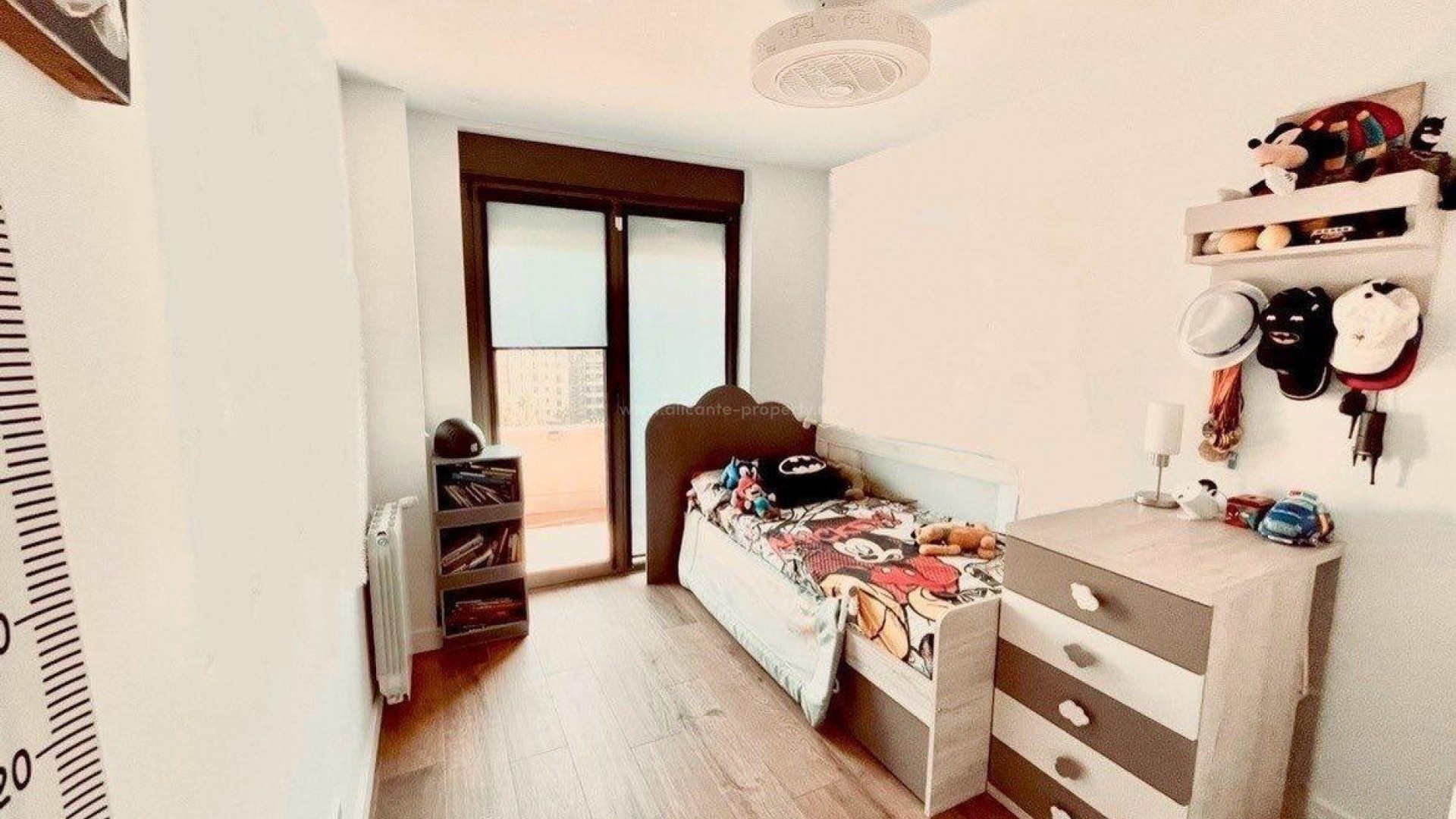 Apartment / flat in Alicante Centro