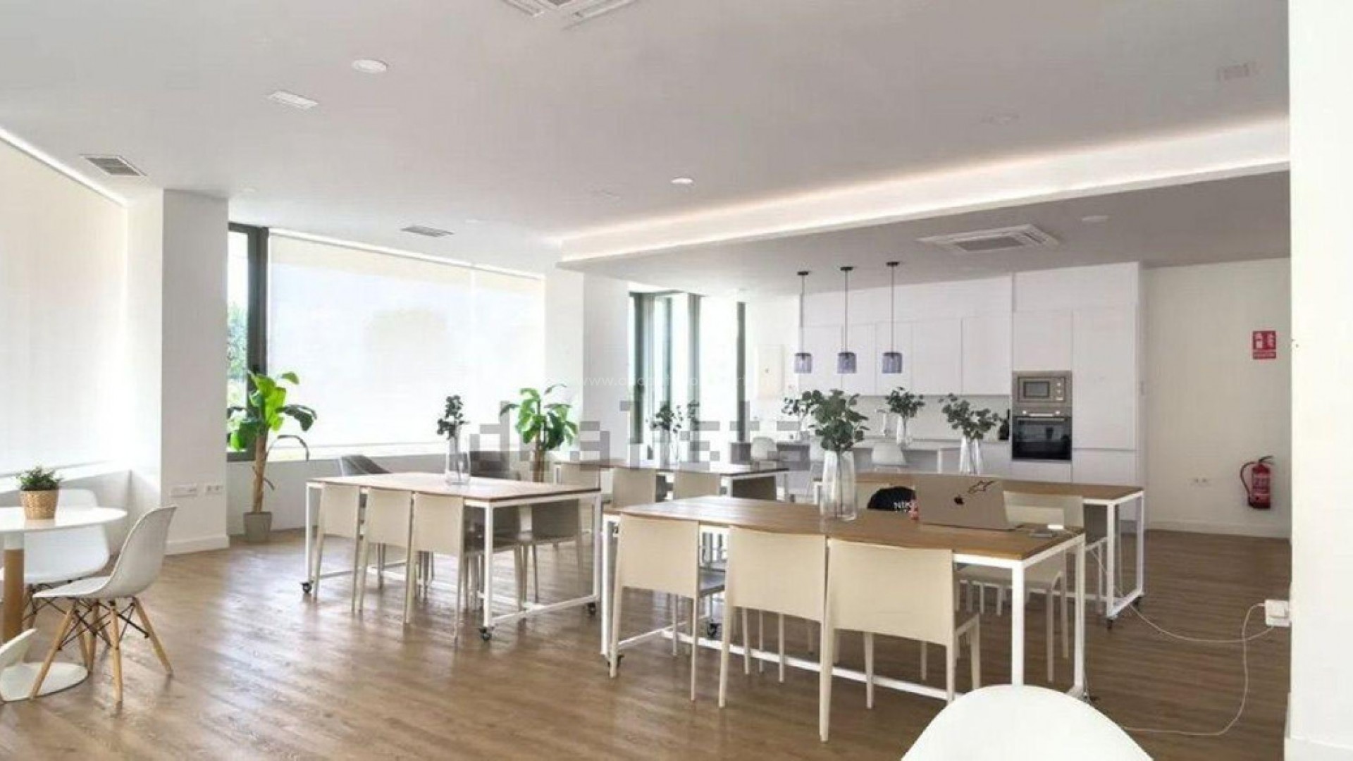 Apartment / flat in Alicante Centro