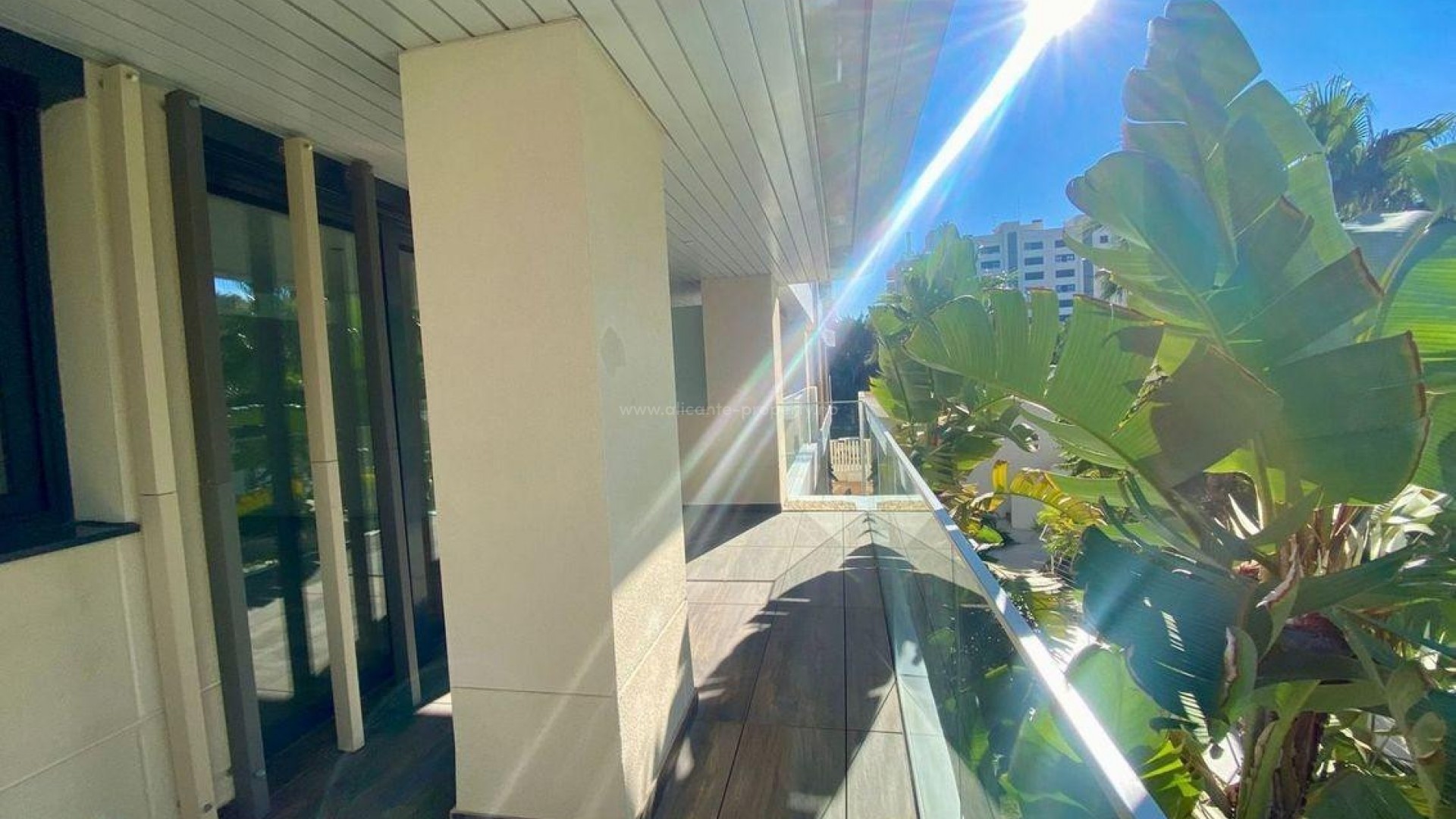 Apartment / flat in Alicante Centro