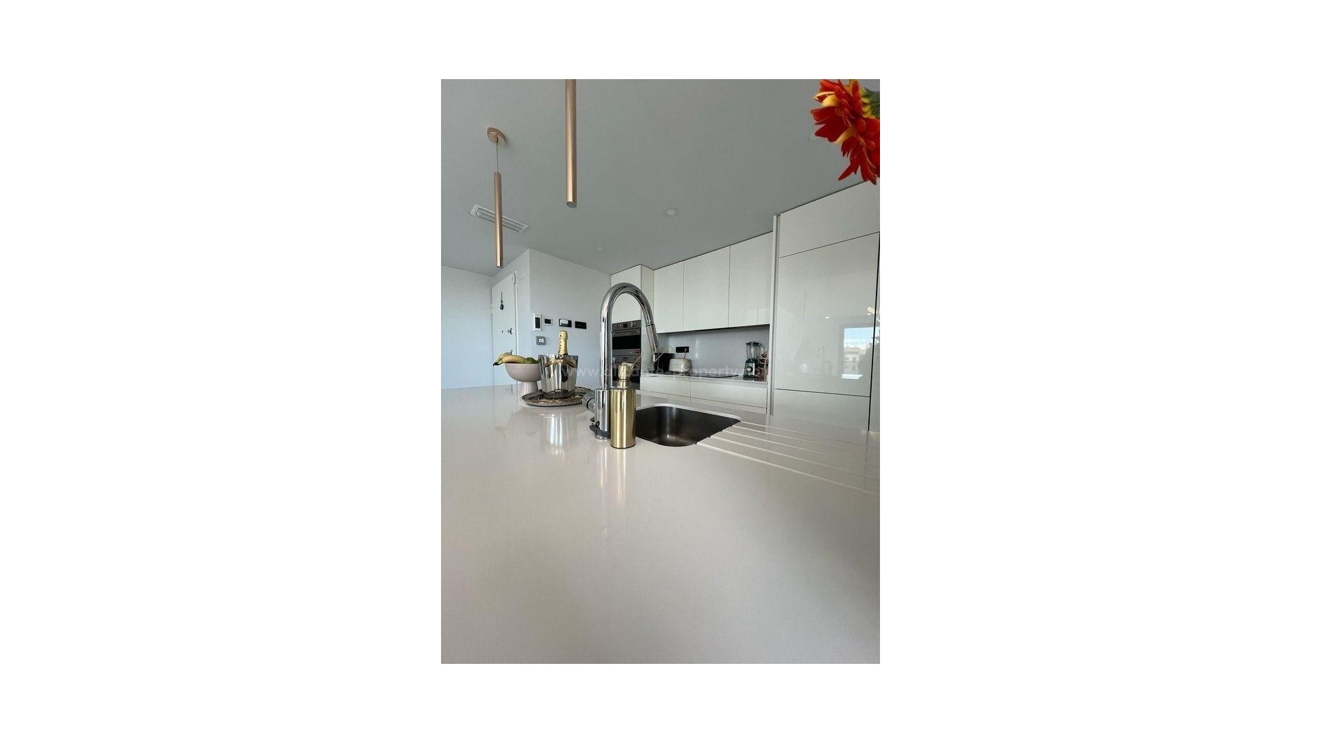 Apartment / flat in Alicante Centro