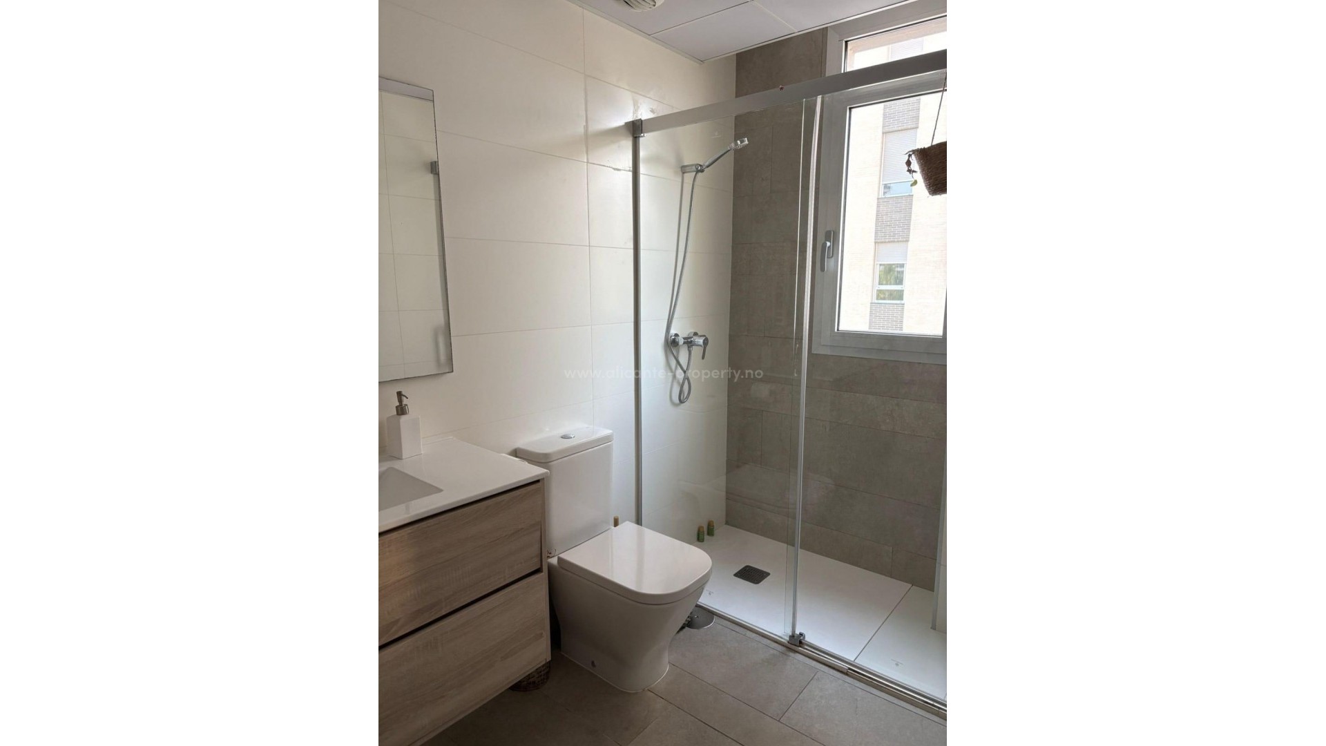 Apartment / flat in Alicante Centro