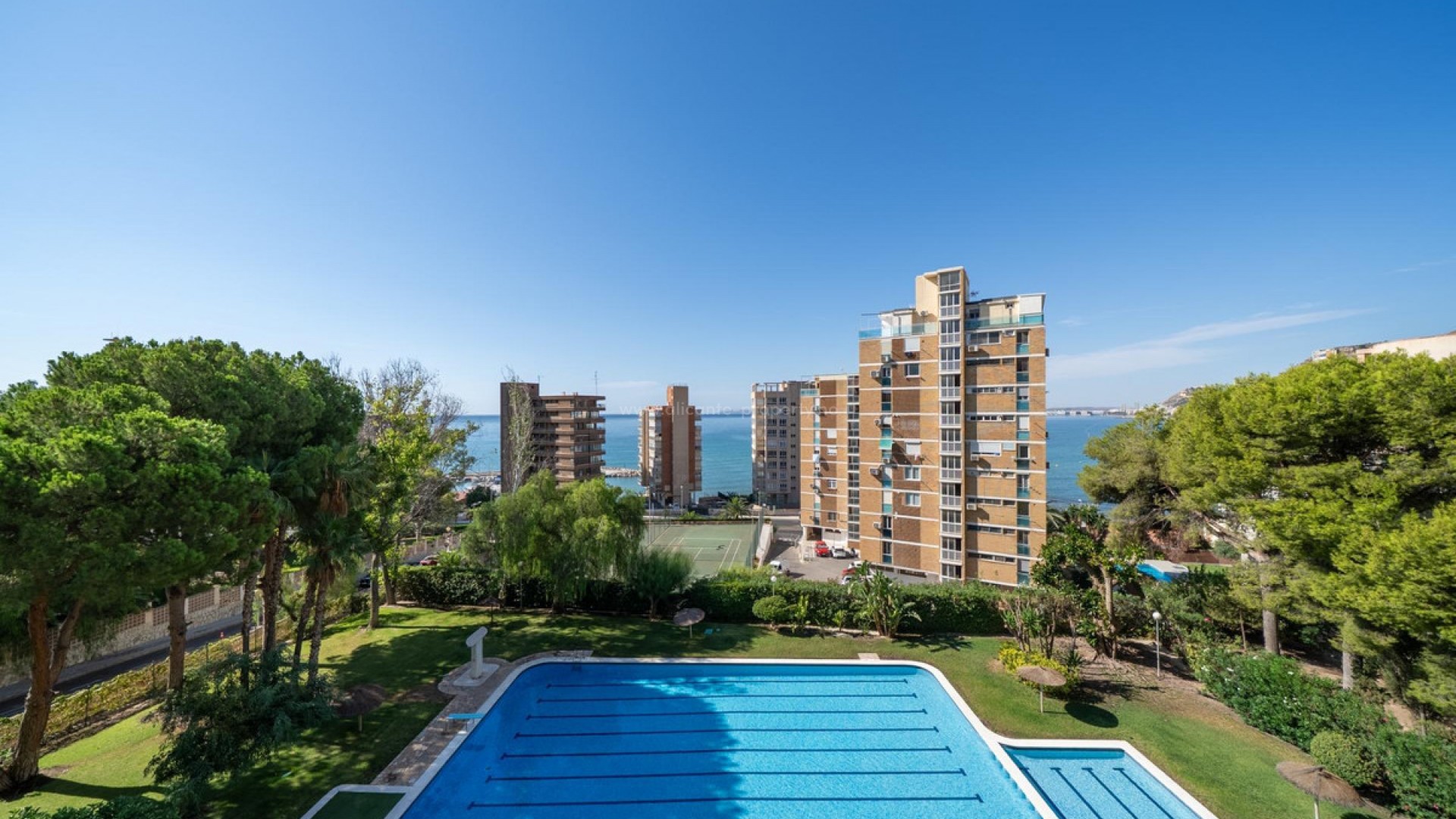 Apartment / flat in Alicante Centro