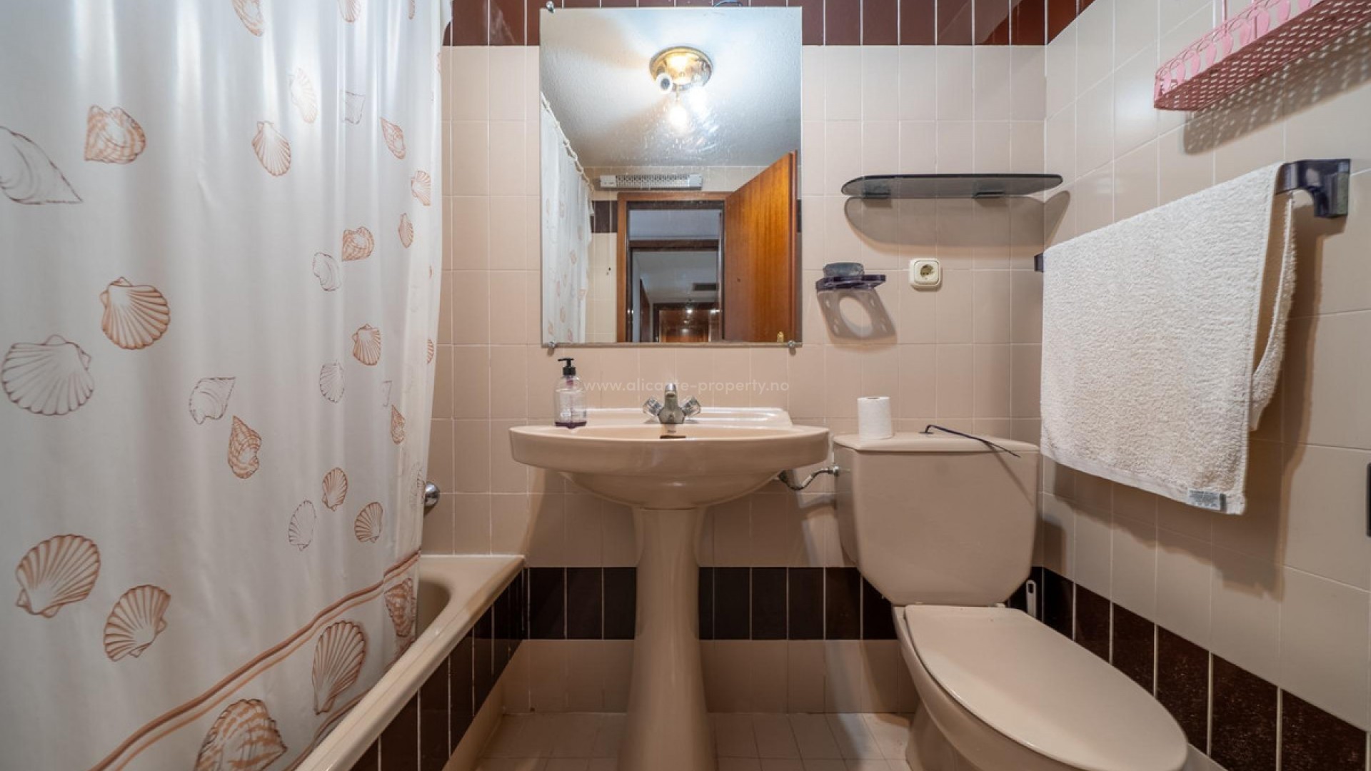 Apartment / flat in Alicante Centro