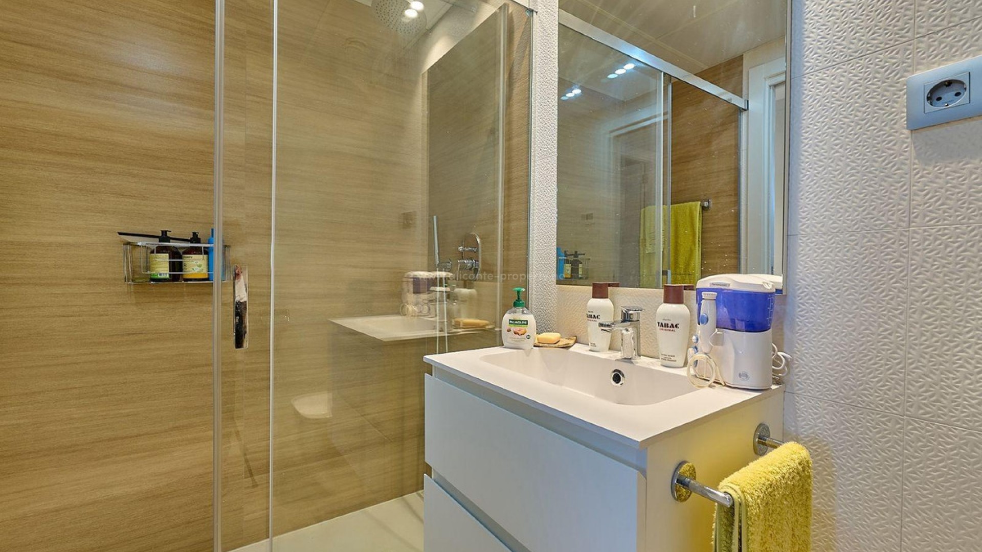 Apartment / flat in Alicante Centro