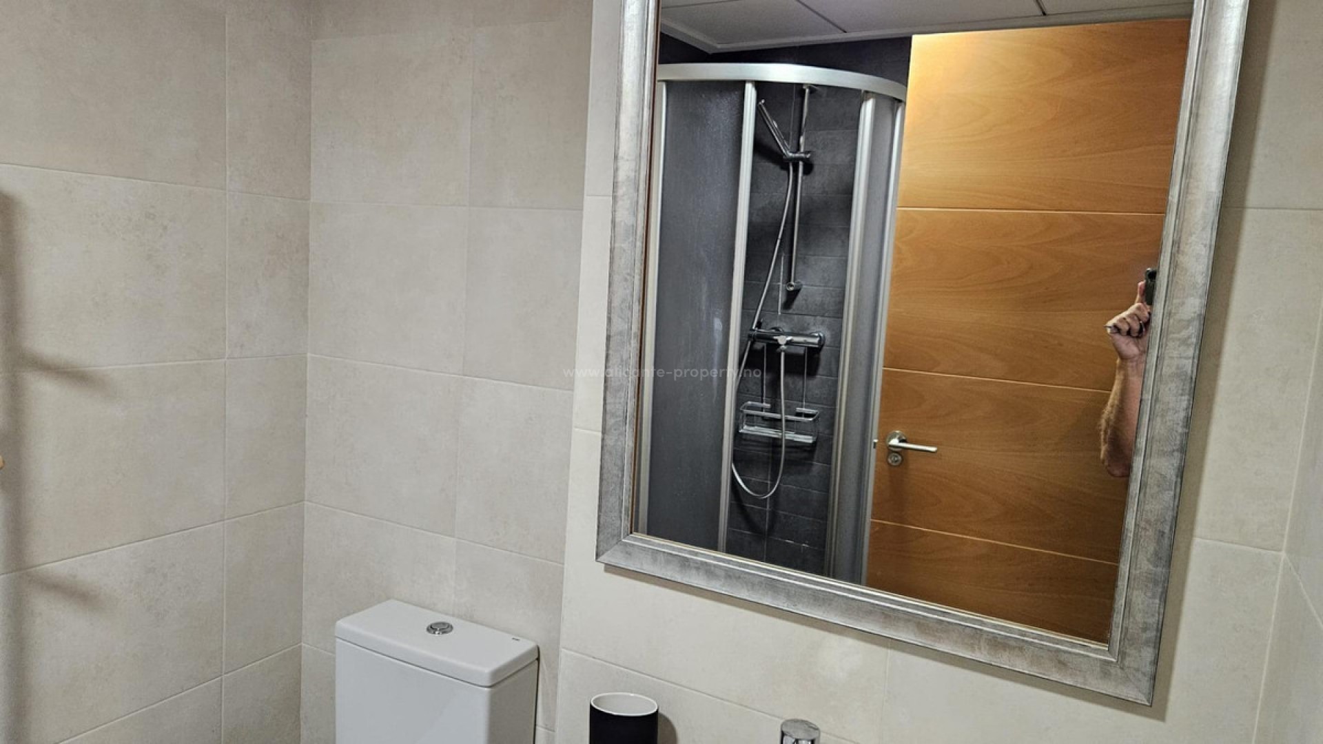 Apartment / flat in Alicante Centro