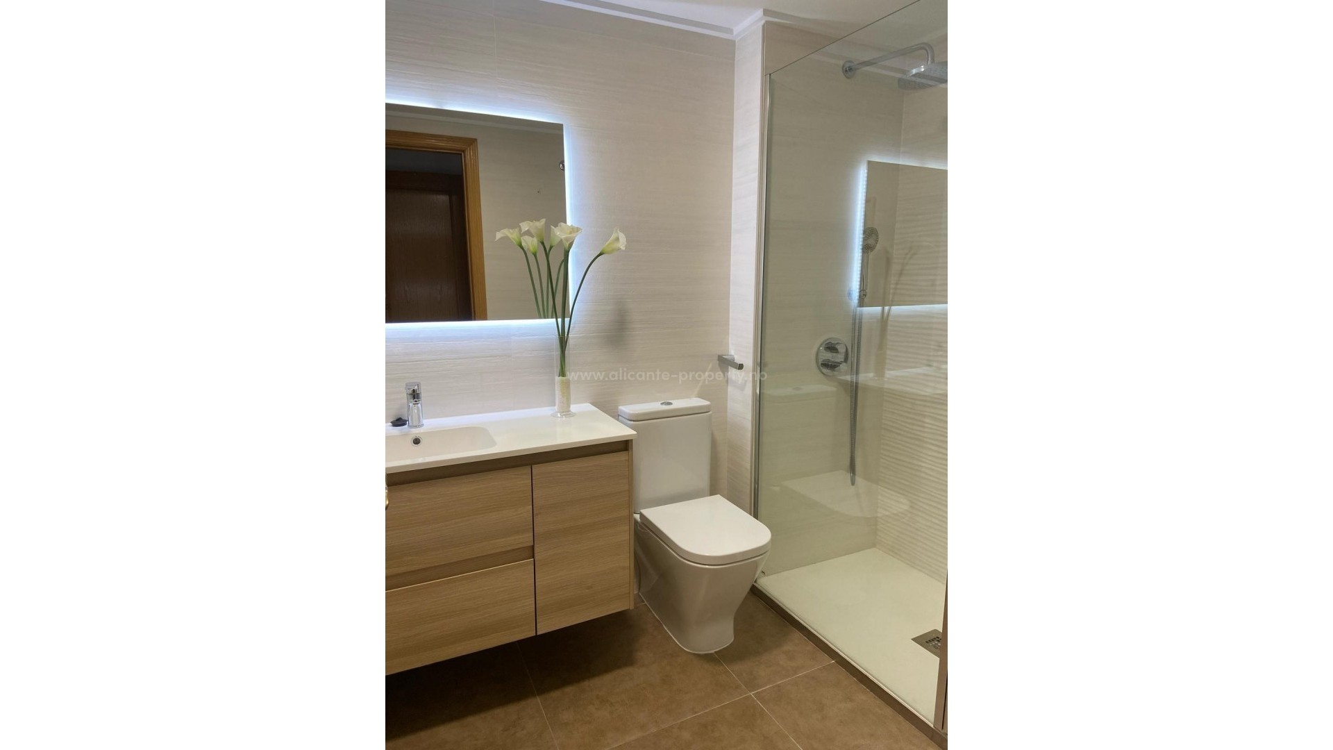 Apartment / flat in Alicante Centro