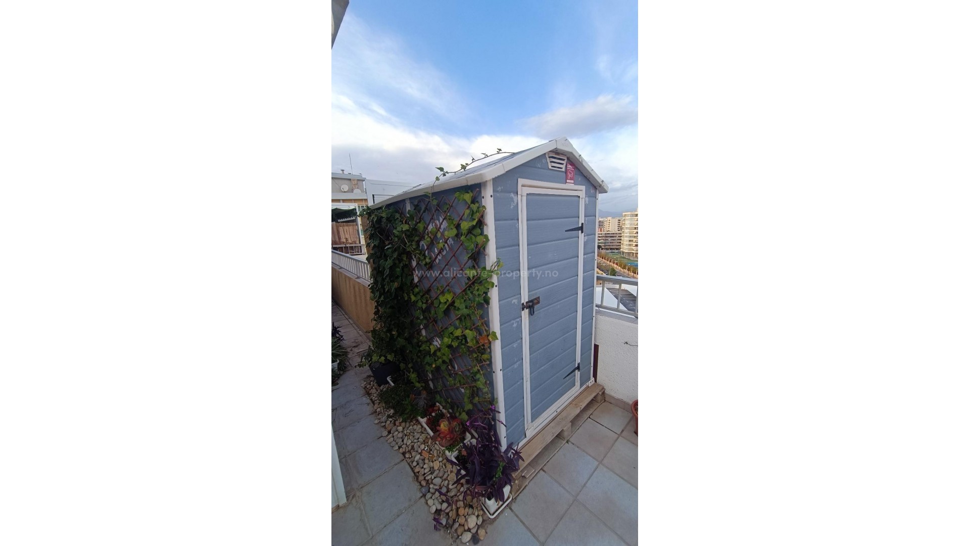 Apartment / flat in Alicante Centro