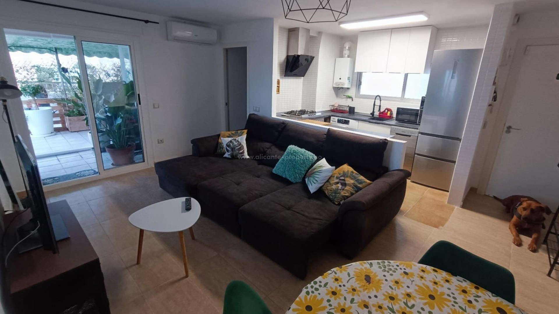 Apartment / flat in Alicante Centro