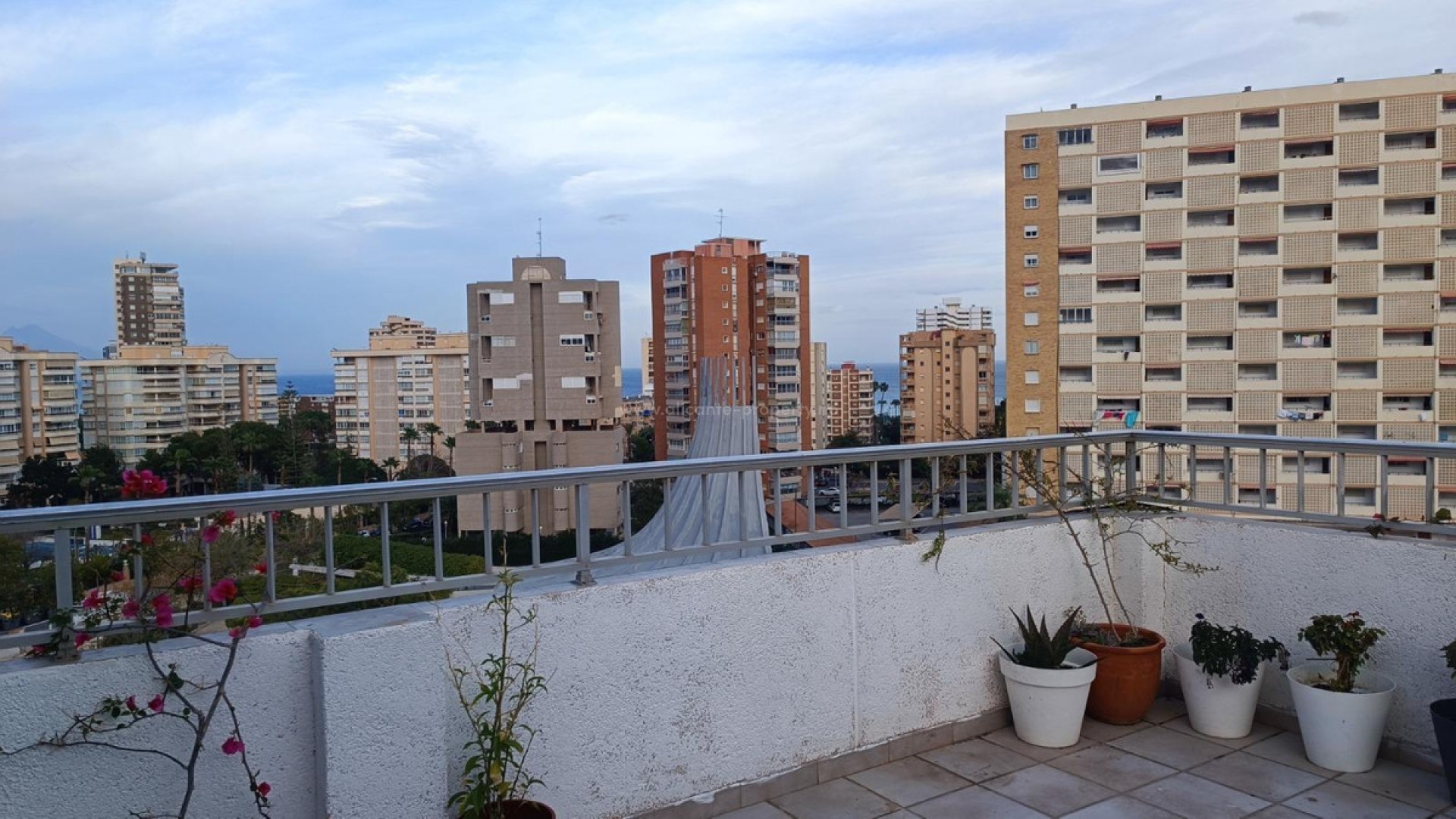 Apartment / flat in Alicante Centro