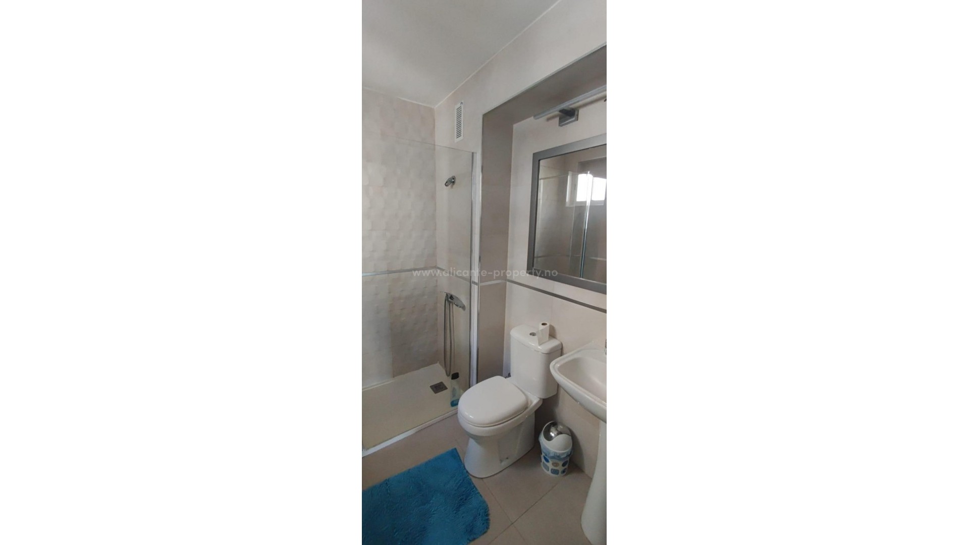 Apartment / flat in Alicante Centro