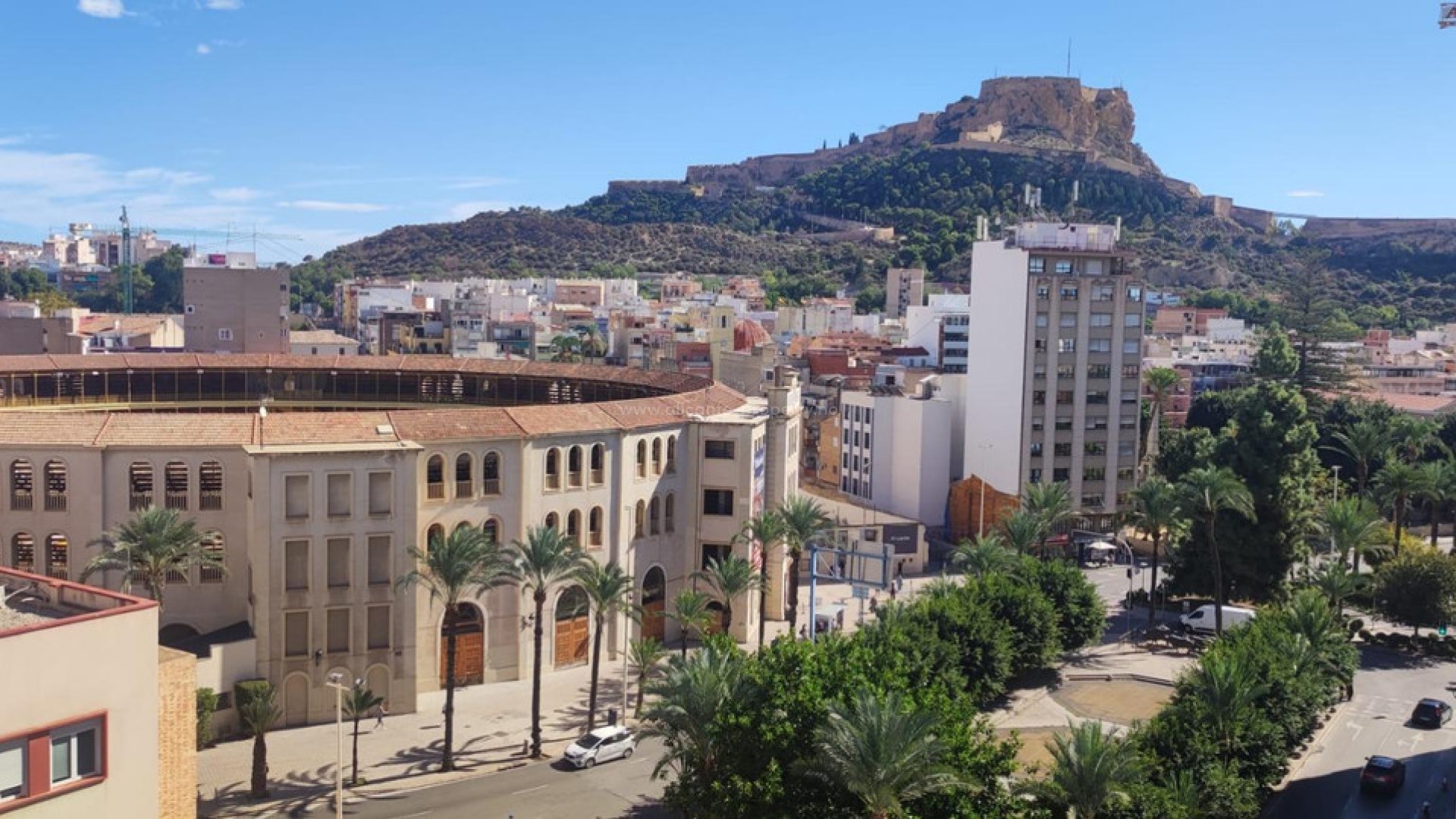 Apartment / flat in Alicante Centro