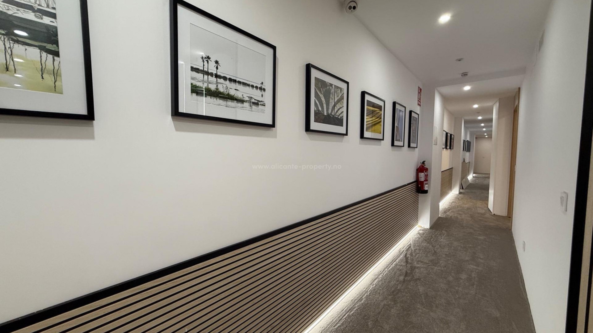 Apartment / flat in Alicante Centro