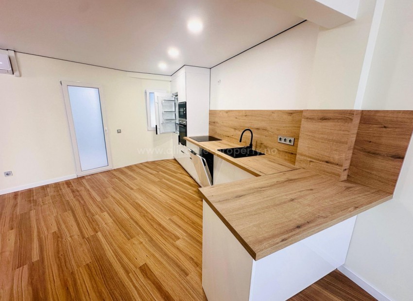 Apartment / flat in Alicante Centro