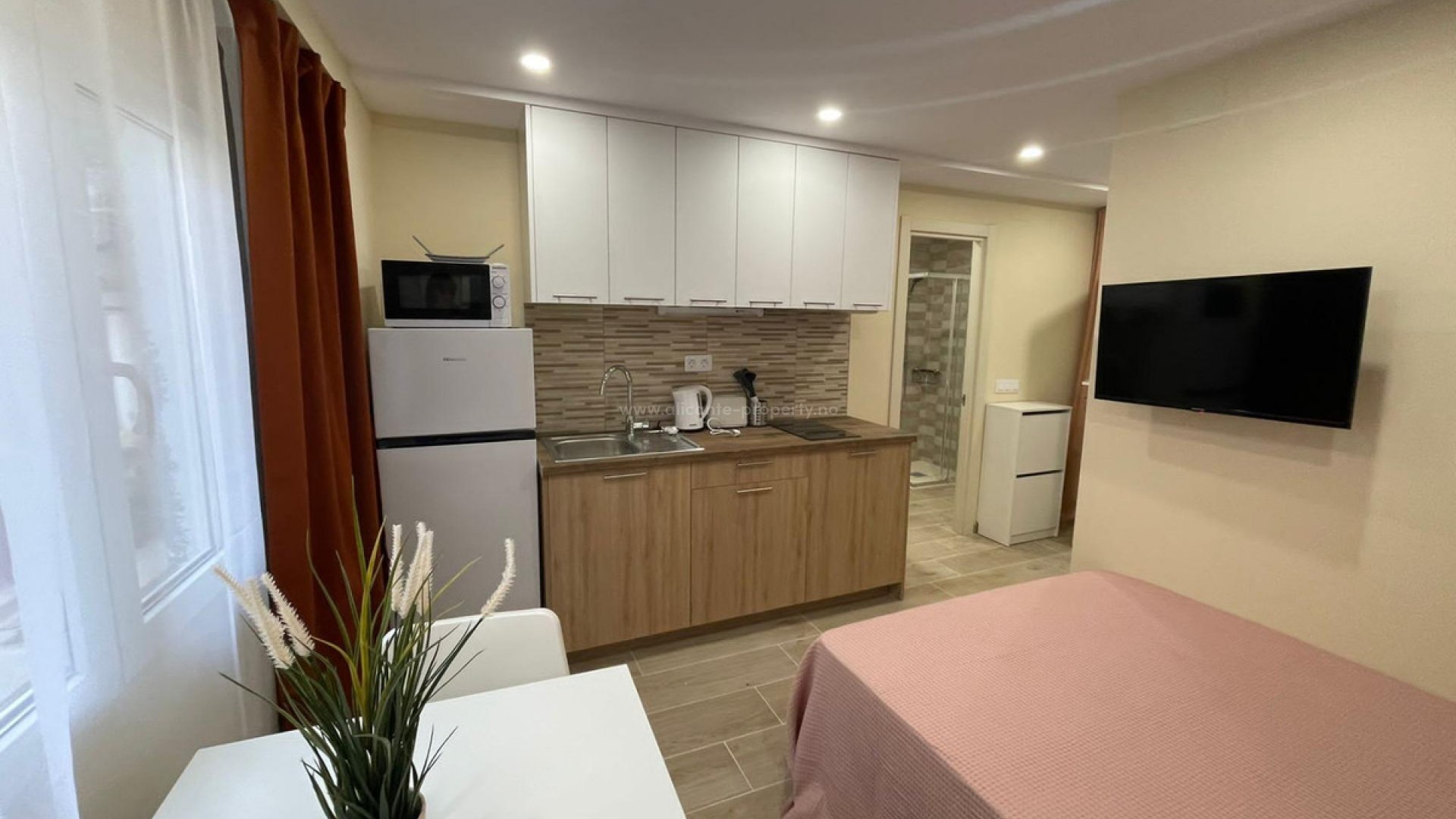 Apartment / flat in Alicante Centro