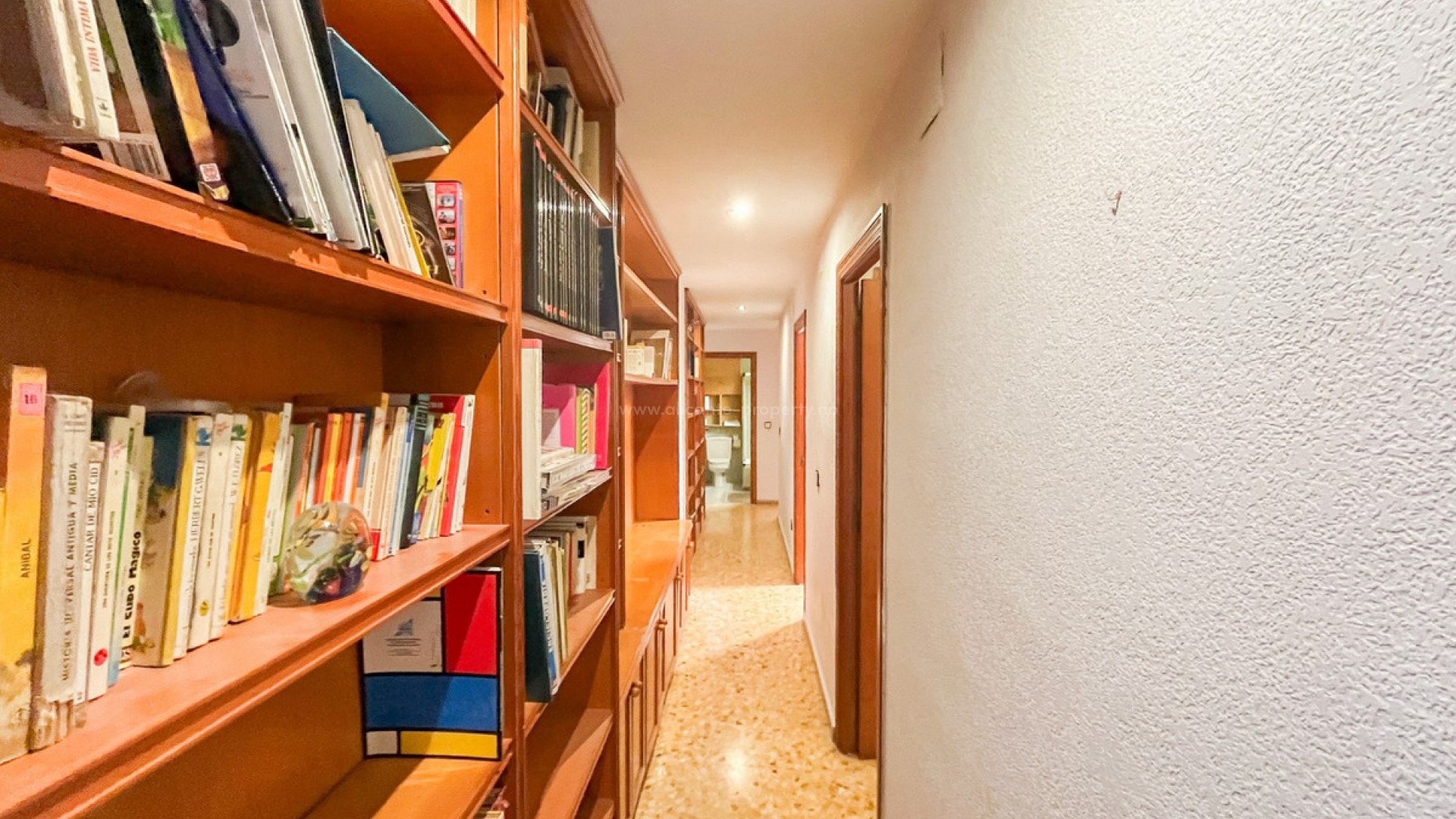 Apartment / flat in Alicante Centro