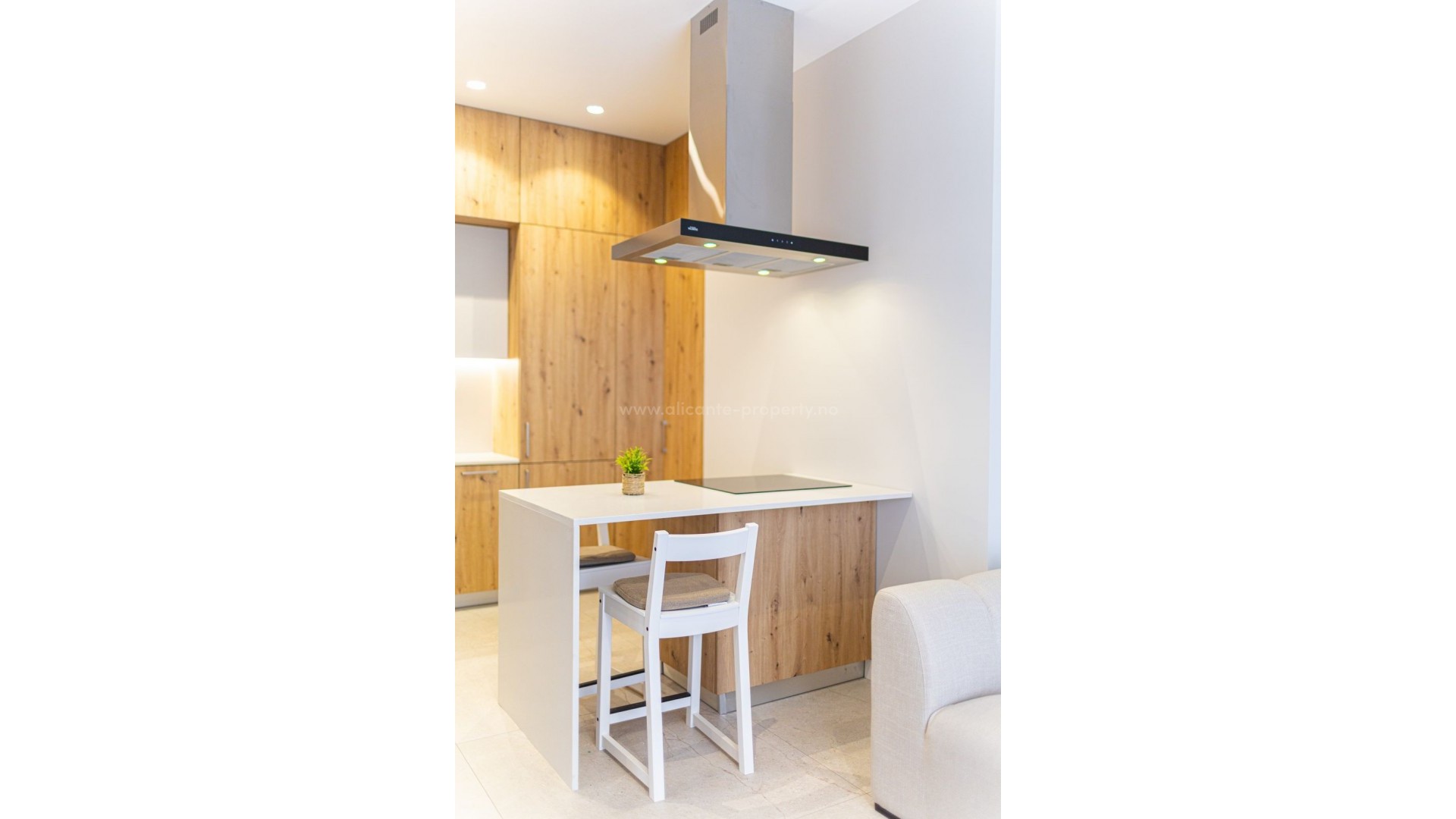 Apartment / flat in Alicante Centro
