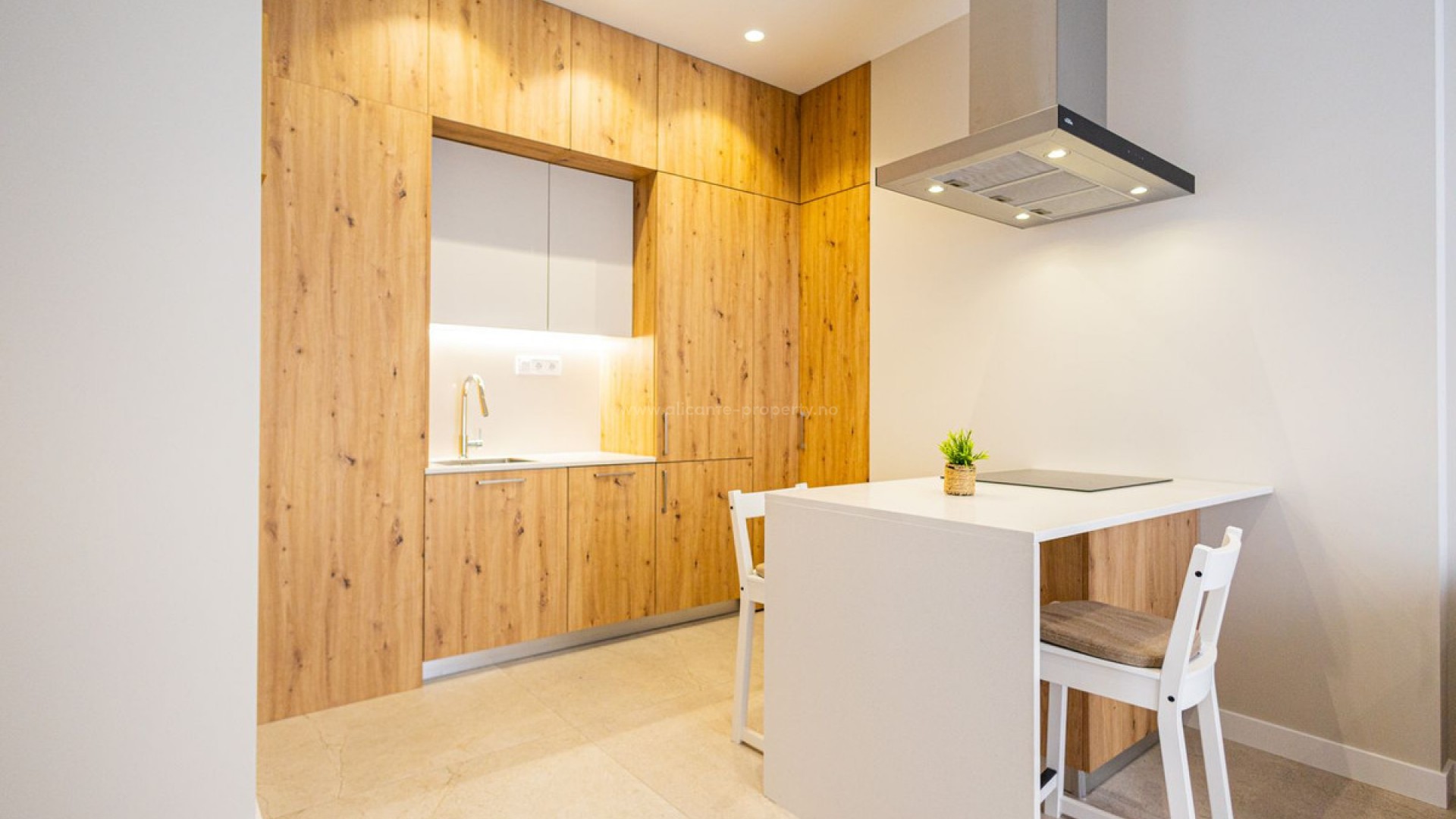 Apartment / flat in Alicante Centro