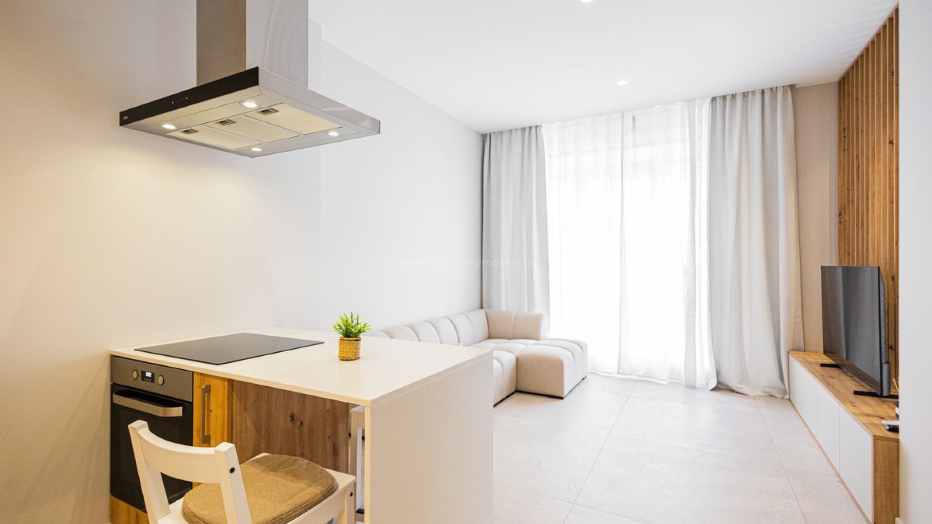 Apartment / flat in Alicante Centro