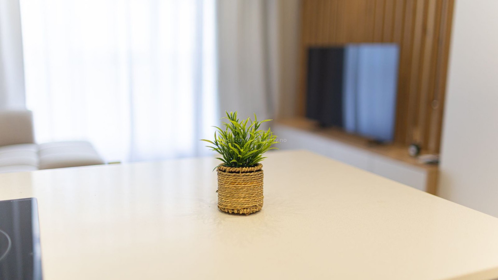 Apartment / flat in Alicante Centro