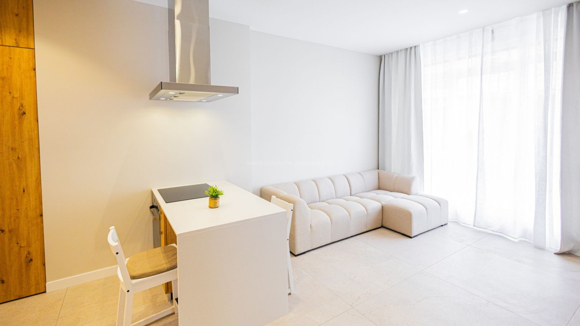 Apartment / flat in Alicante Centro