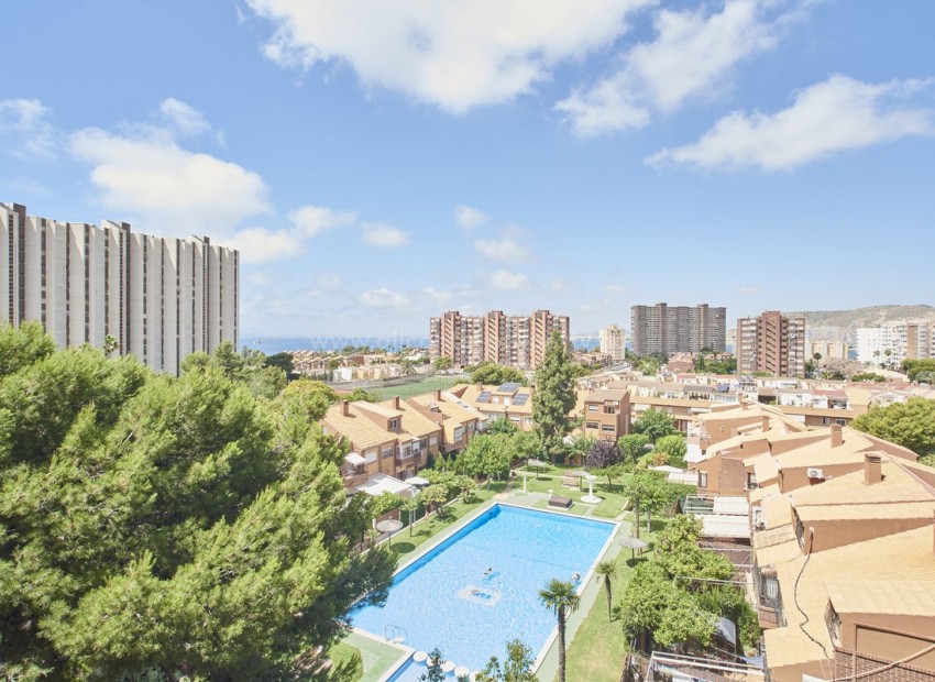 Apartment / flat in Alicante City Centro