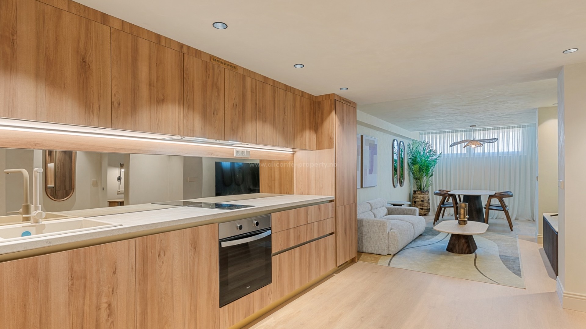 Apartment / flat in Alicante