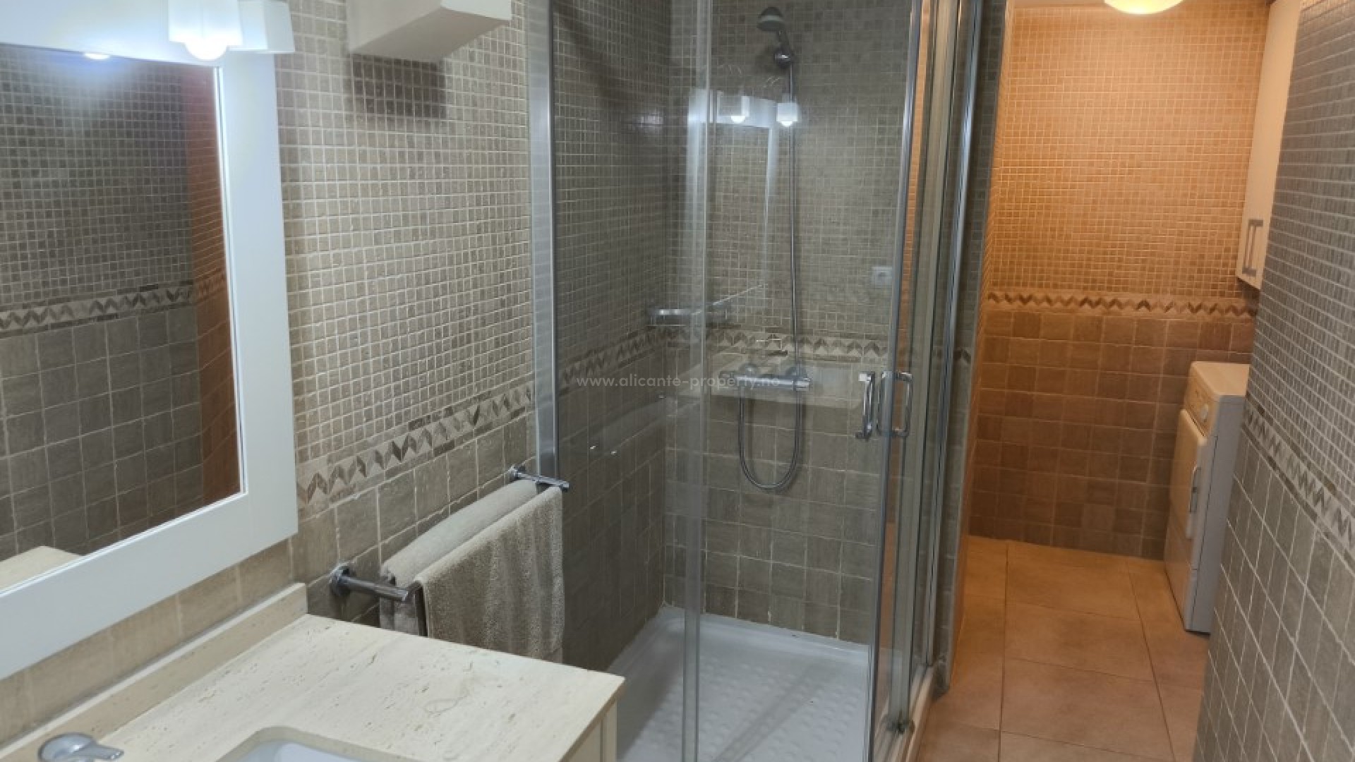 Apartment / flat in Alicante