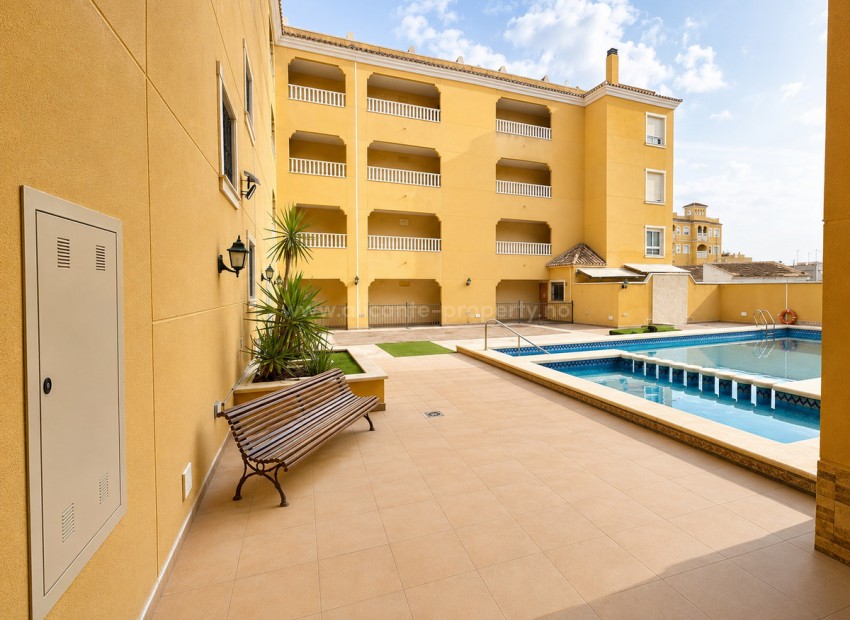 Apartment / flat in Almoradi Centro
