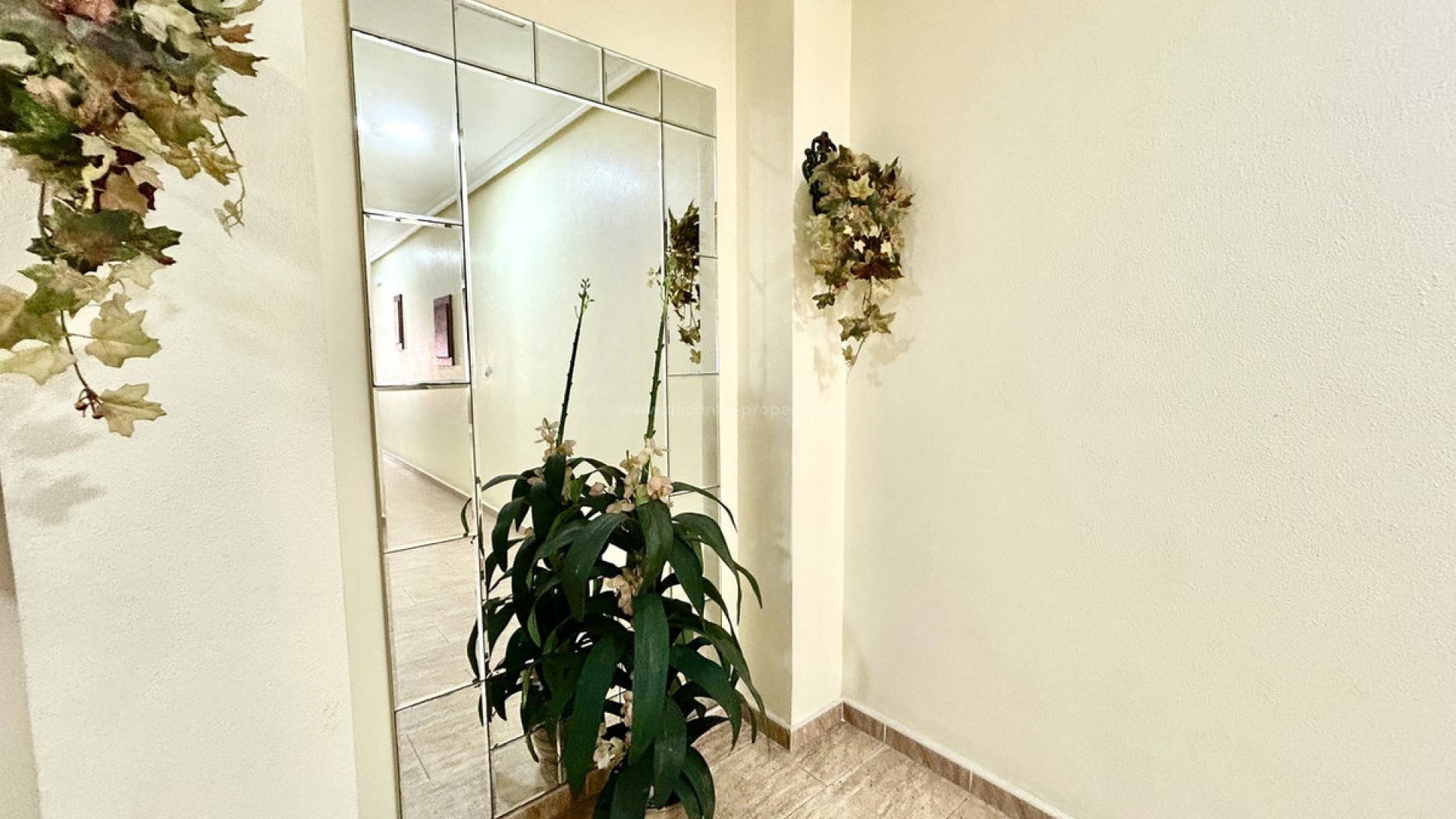 Apartment / flat in Almoradi Centro