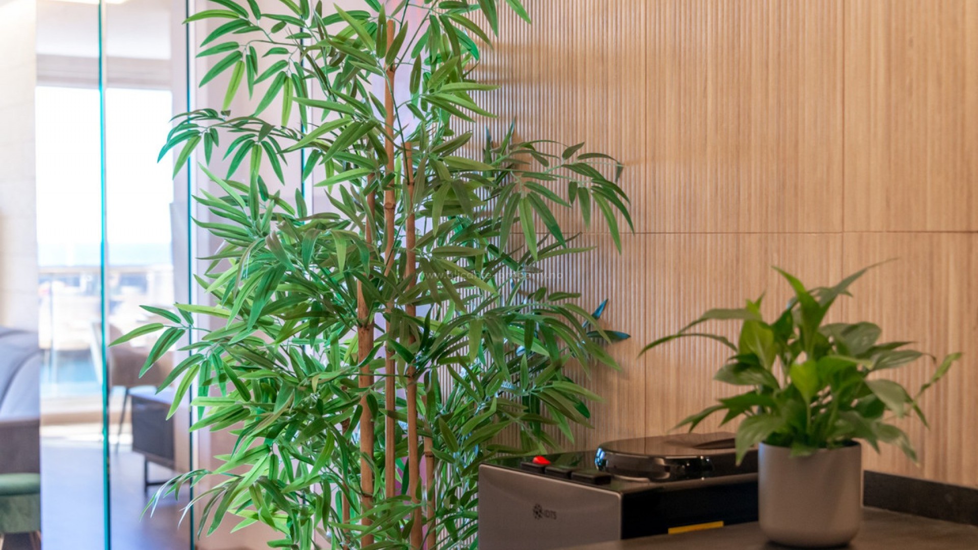 Apartment / flat in Altea Centro