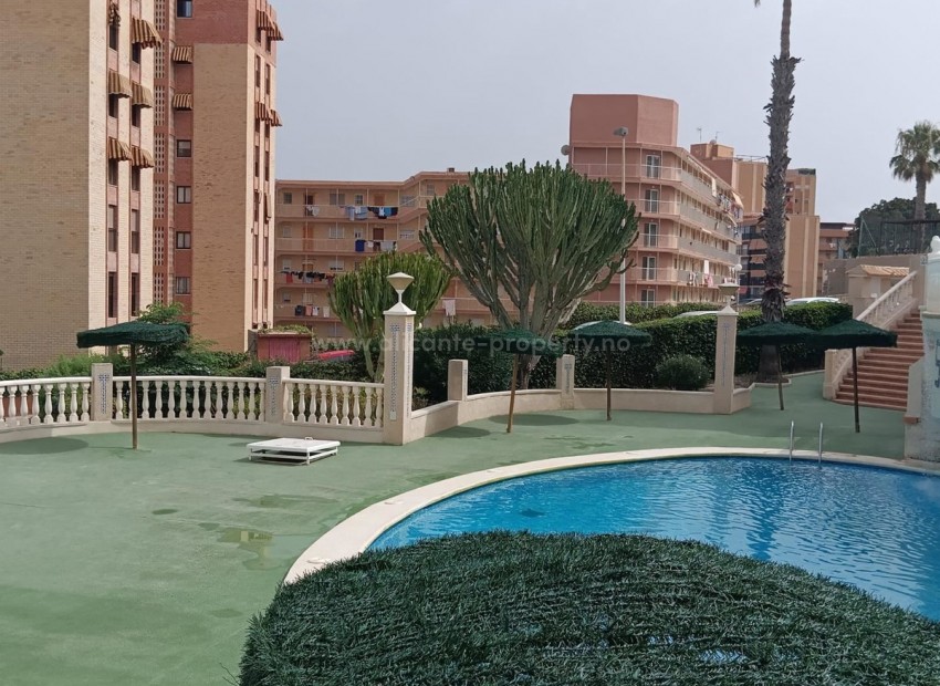 Apartment / flat in Arenales del Sol